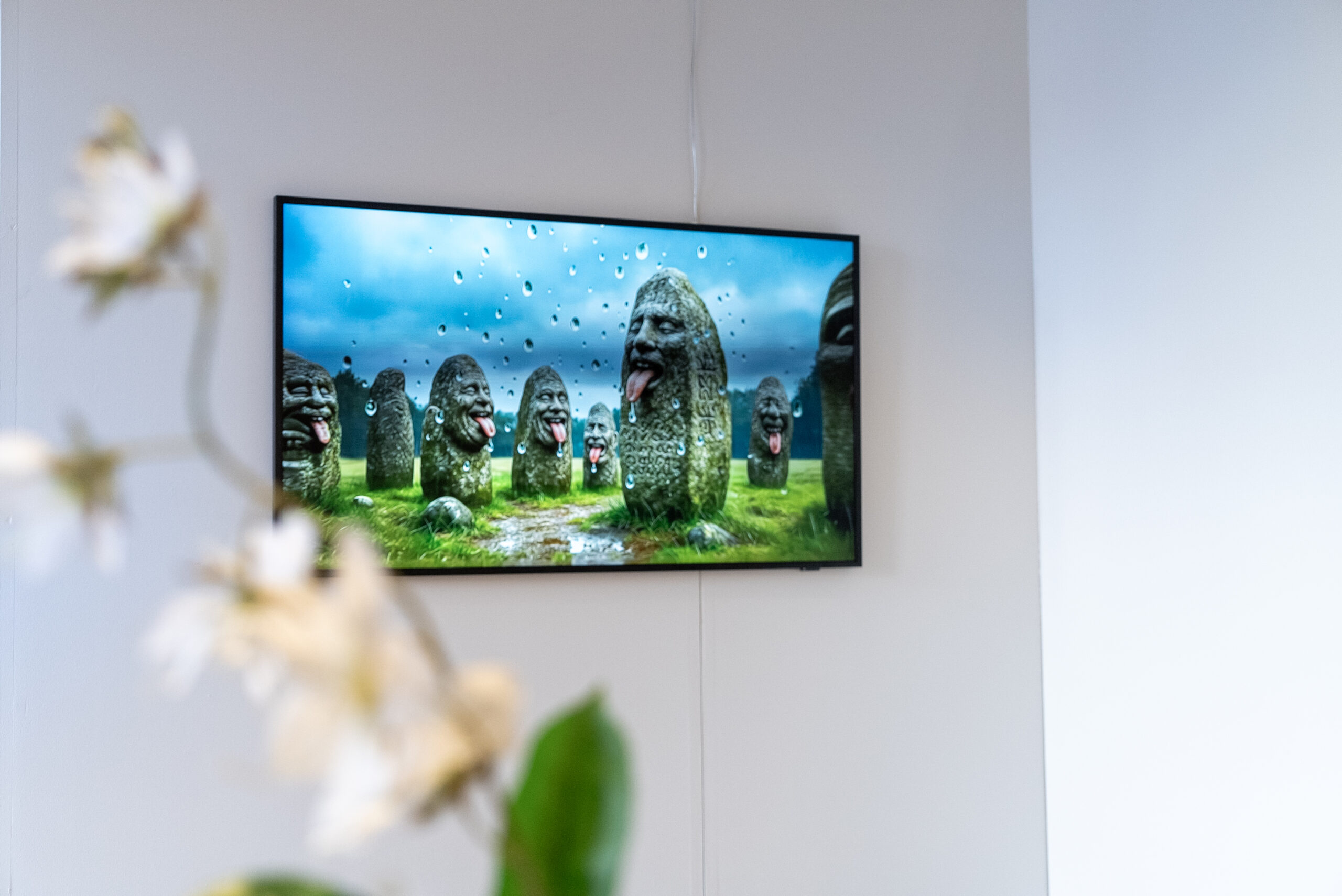 5.5 Ida Kvetny 5.5 Ida Kvetny